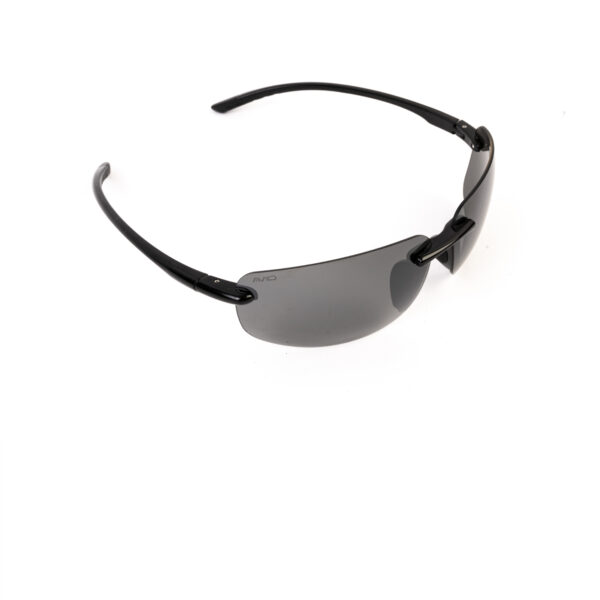 AVID CARP SEETHRU BEAM POLARISED SUNGLASSES