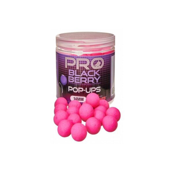 STARBAITS PRO BLACKBERRY POP UP 20MM