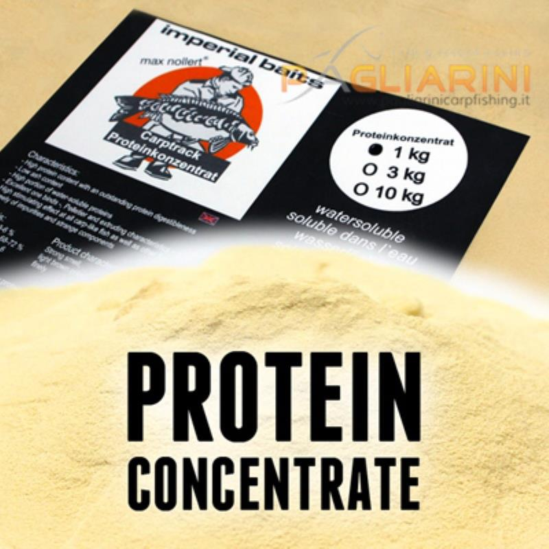 PROTEIN-CONCENTRATE-25-Kg